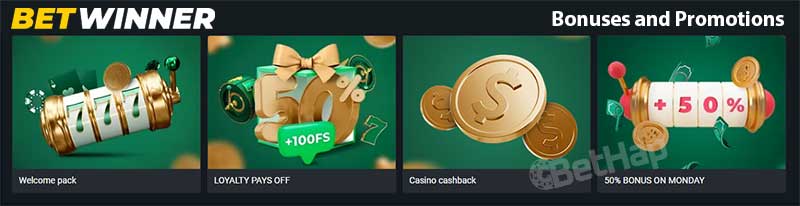 Discover the Thrills of Online Betting with Bet Winner