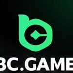 Exploring BC.Game Bonus Types Maximizing Your Gaming Experience