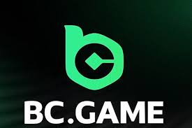 Exploring BC.Game Bonus Types Maximizing Your Gaming Experience