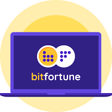 Bitfortune Crypto Payments Your Guide to Stablecoin Payments