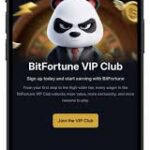Bitfortune for New Users Support Your Guide to Fast Payouts and More