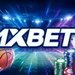 1xBet Thailand Download APP Your Guide to Easy Betting -1027408902