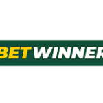 Discover BetWinner Aviator Your Guide to Thrilling Online Gaming