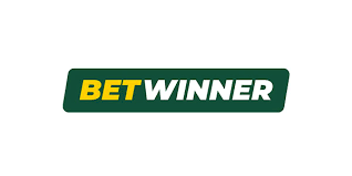 Discover BetWinner Aviator Your Guide to Thrilling Online Gaming