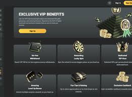 Discover the Thrill of JB Crypto Casino Your Gateway to Online Gaming