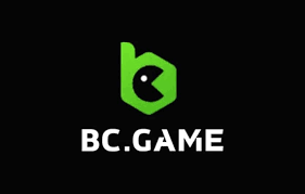 Explore the Features of BC.Game PL App