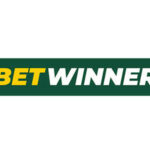 Everything You Need to Know About BetWinner