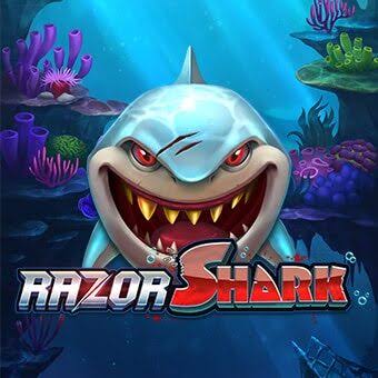 Razor Shark Slot-Testimonial
